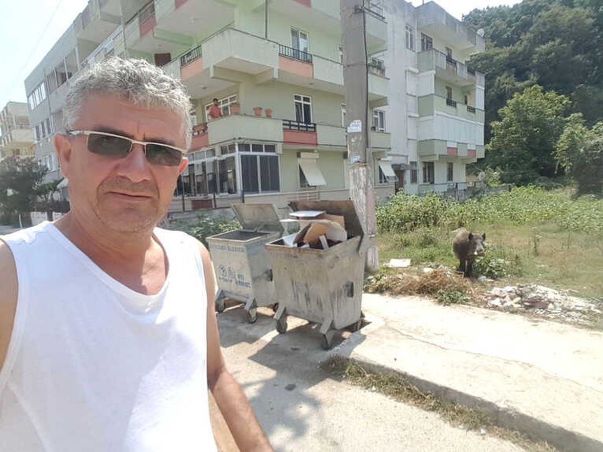 Yaban Domuzuyla Selfie Yaptı