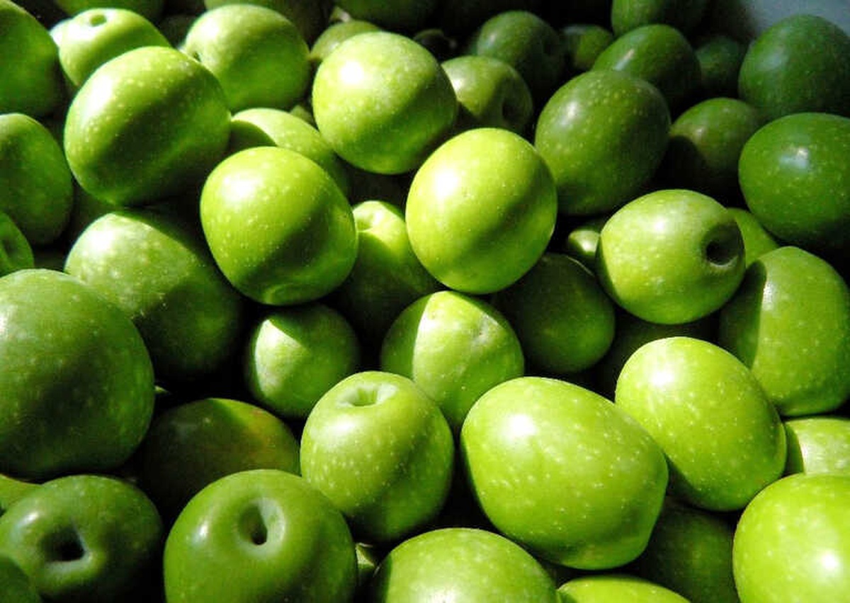 Zeytin ve Zeytinyağı İhracatında Tarihi Rekor