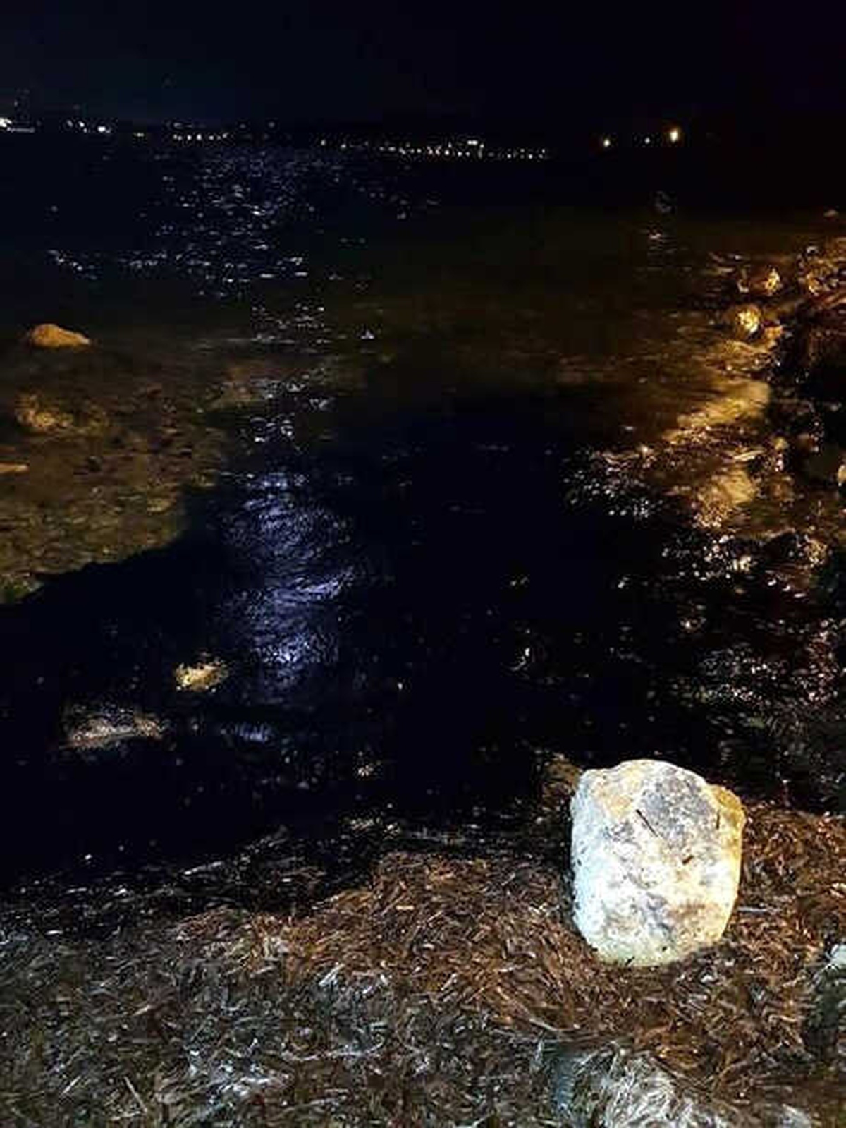 Aliağa ve Foça Sahillerinde Ham Petrol Kirliliği