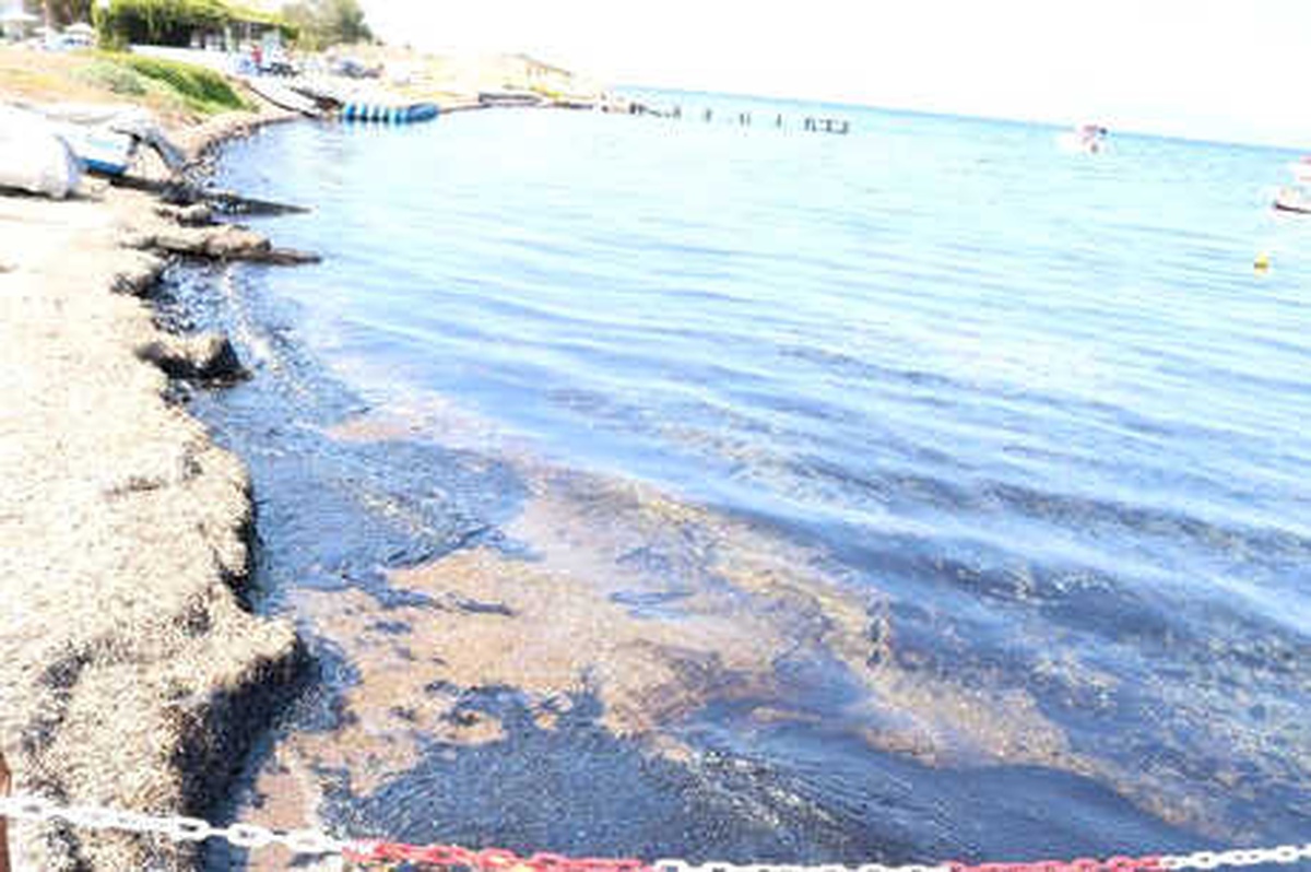 Aliağa ve Foça Sahillerinde Ham Petrol Kirliliği (2)