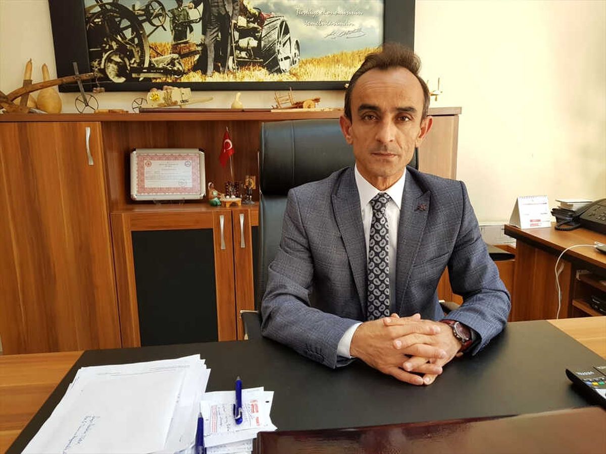 Artova\'da Nohut Üretimi Arttı