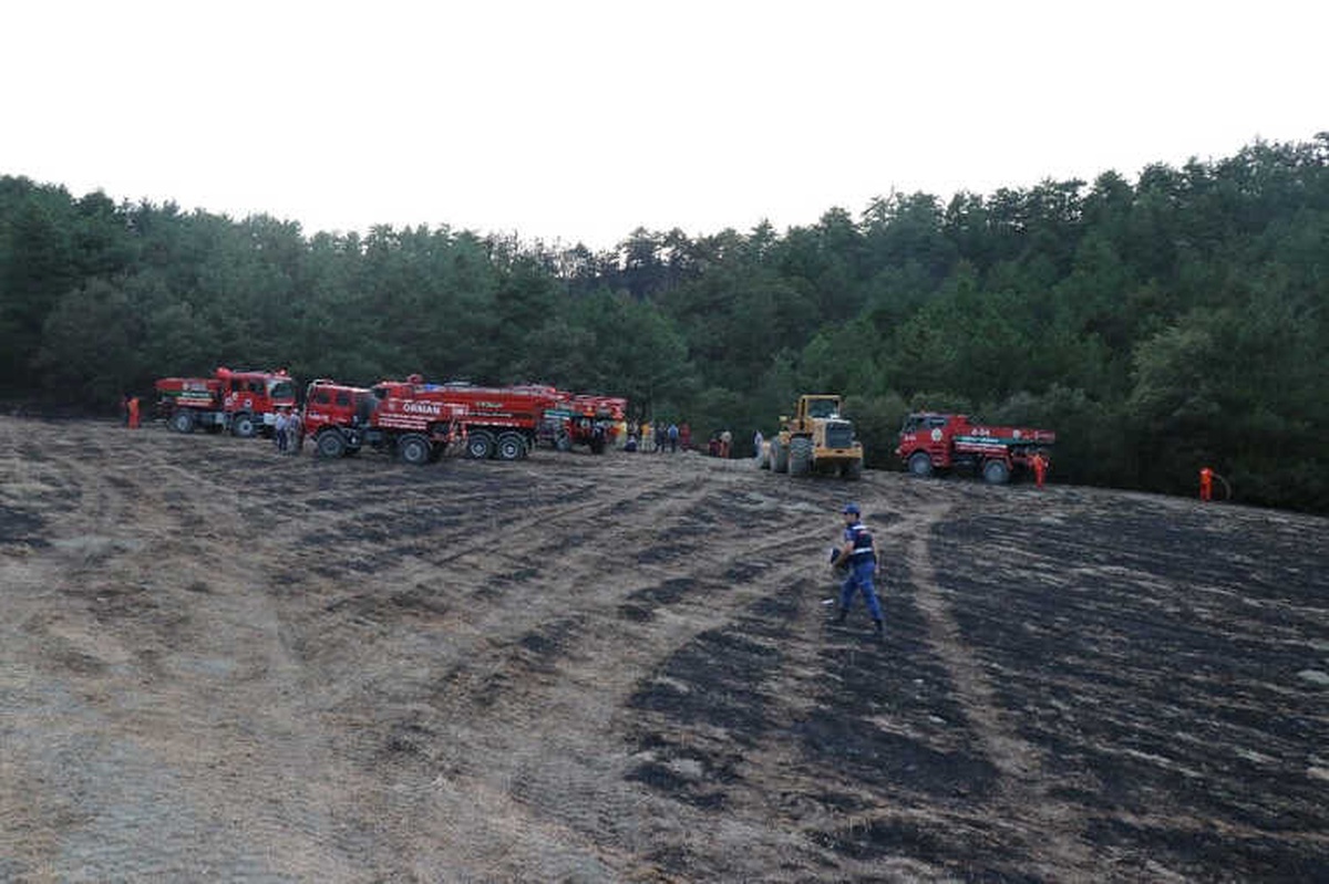 Bolu\'da 2 Hektarlık Orman Arazisi Yangında Zarar Gördü