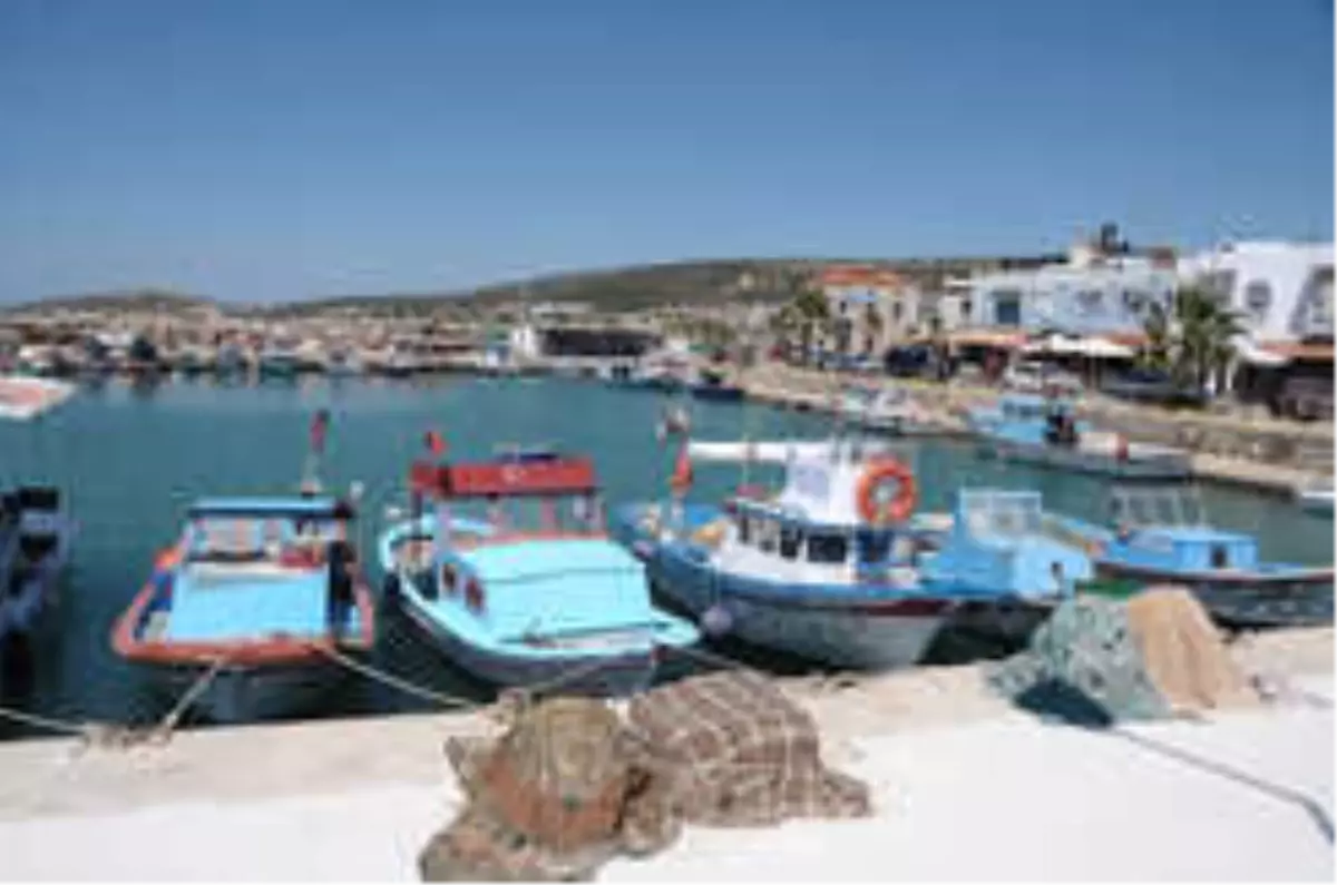 Çiftlik\'te Festival Zamanı