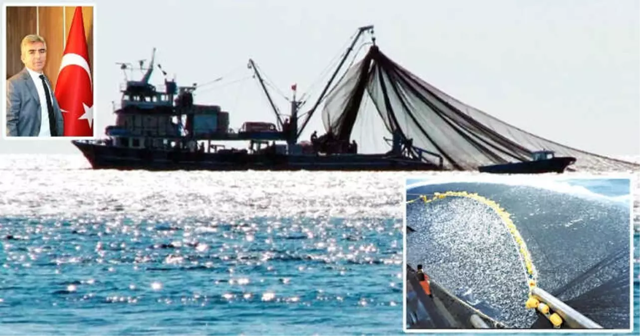 Denizlerde Avlanma Sezonu Başlıyor