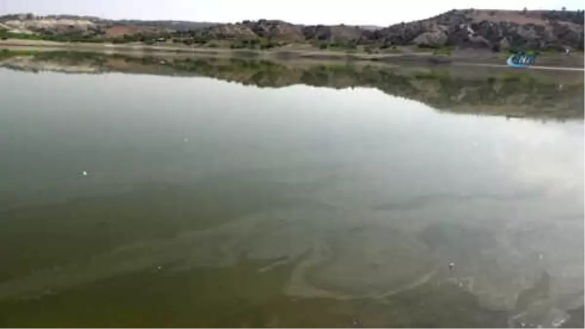 Denizli\'de Baraj Göletinde Toplu Balık Ölümleri Gerçekleşti...ölü Balıklar Karaya Vurdu