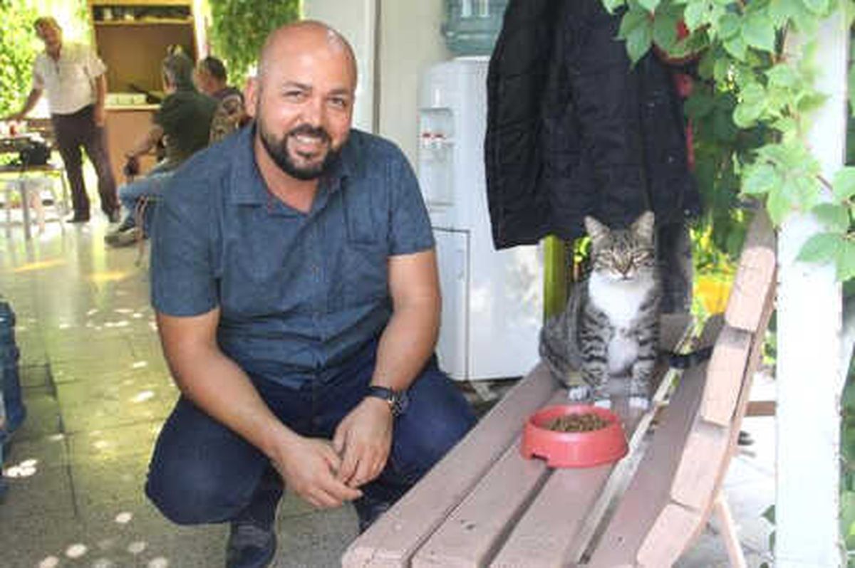 Hayvan Dostu Taksiciler
