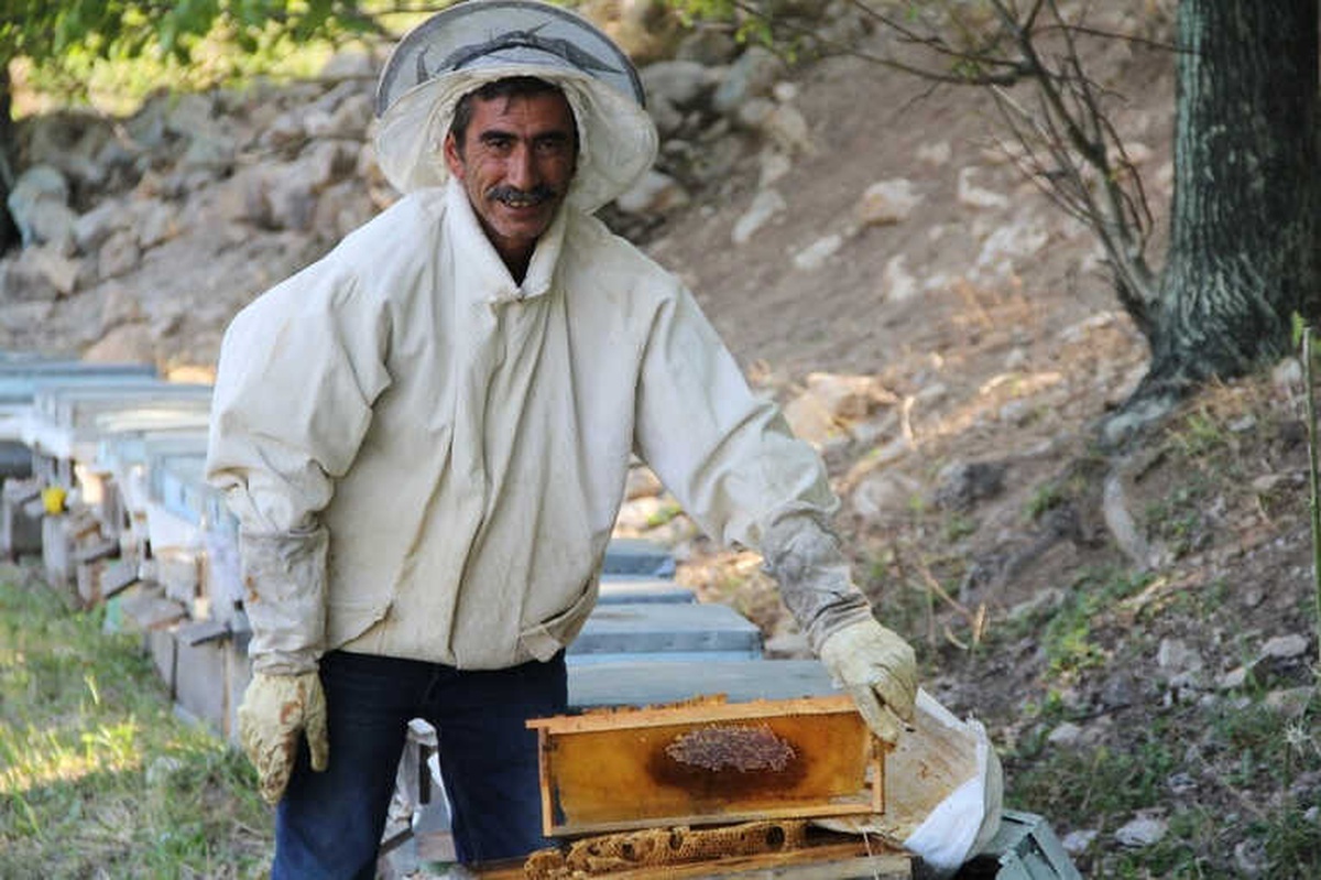 İşçi Olarak Gittiği İsviçre\'ye Bal İhraç Etti