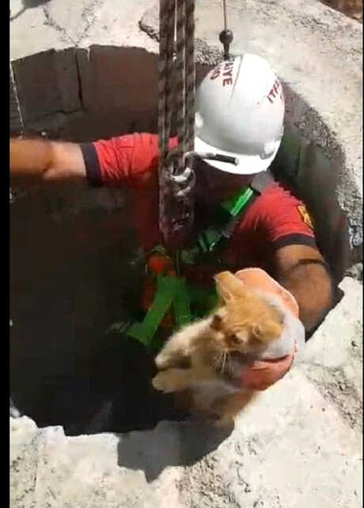 Kilis\'te Kuyuya Düşen Kedi Kurtarıldı