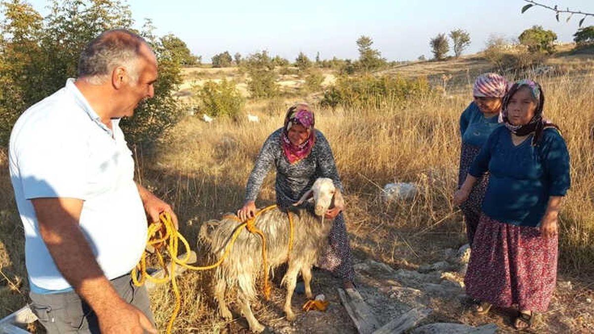 Kuyuya Düşen Keçiyi İtfaiye Kurtardı