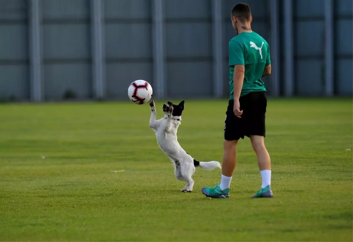 Samet Aybaba: "Beşiktaş Maçı Zorlu Olacak"