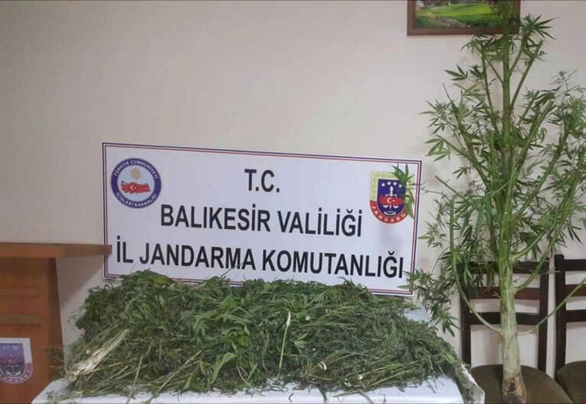 Sındırgı\'da 11 Kilo Esrar Ele Geçirildi