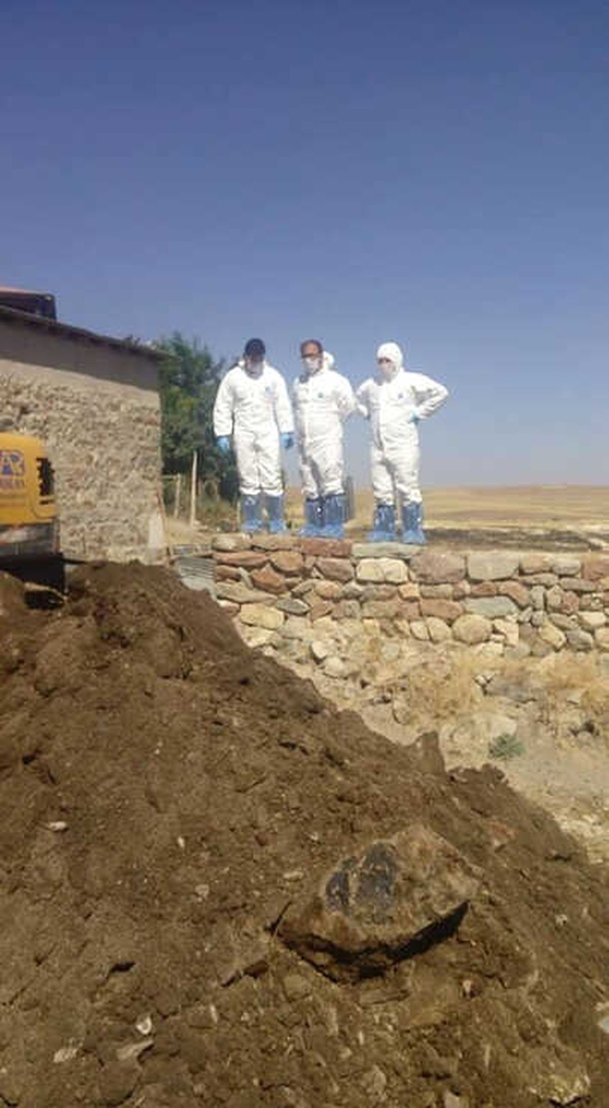 Sivas\'ta Şarbon Şüphesi ile Karantina