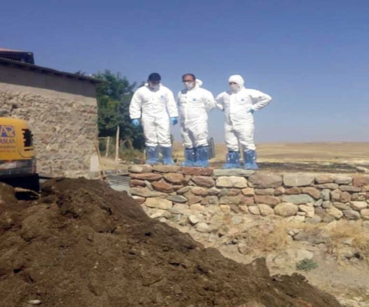 Sivas\'ta Şarbon Şüphesi ile Karantina