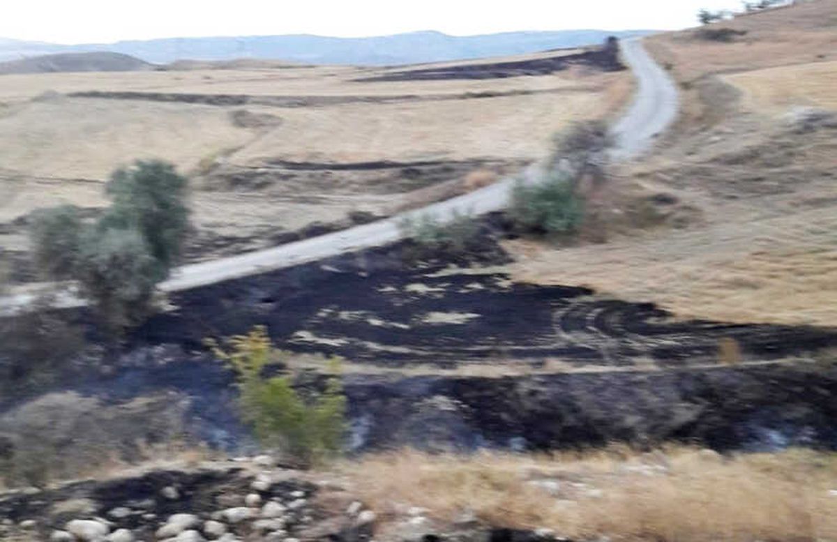 Sungurlu\'da Arazi Yangını