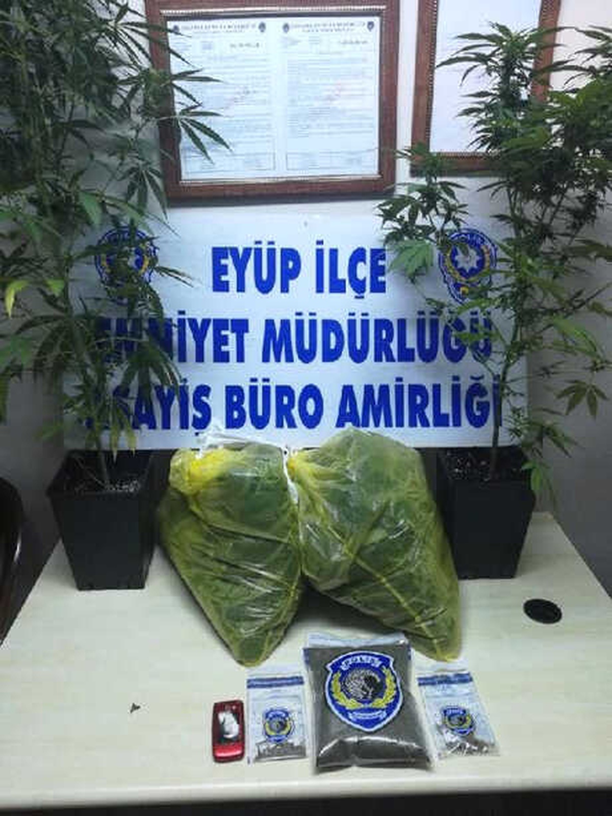 16 Saksıda Yetiştirilen Hint Keneviri Ele Geçirildi