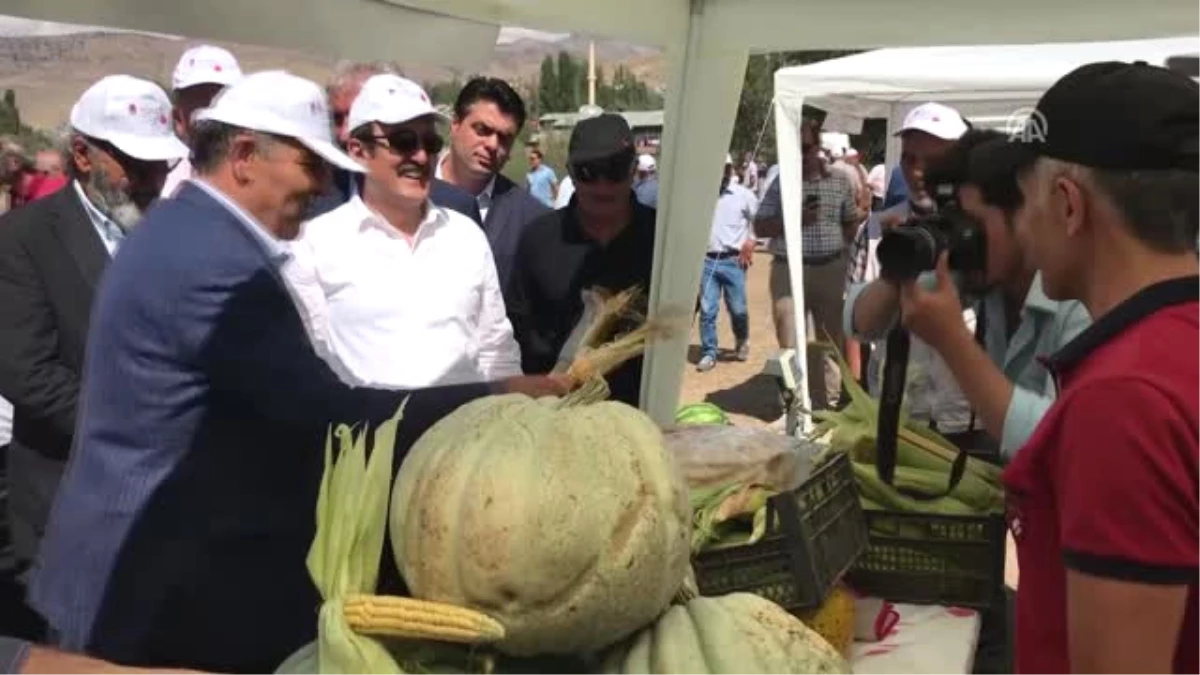 Aşağı Çoruh Vadisi 1. Organik Hasat Şenliği