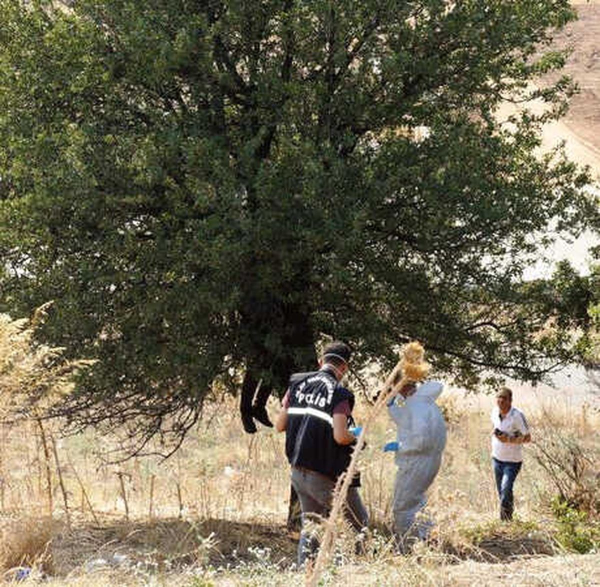Aydın\'da, Ağaca Asılı Ceset Bulundu