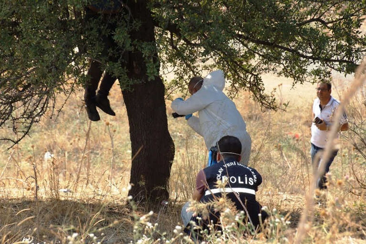 Aydın\'da Ağaca Asılı Halde Erkek Cesedi Bulundu