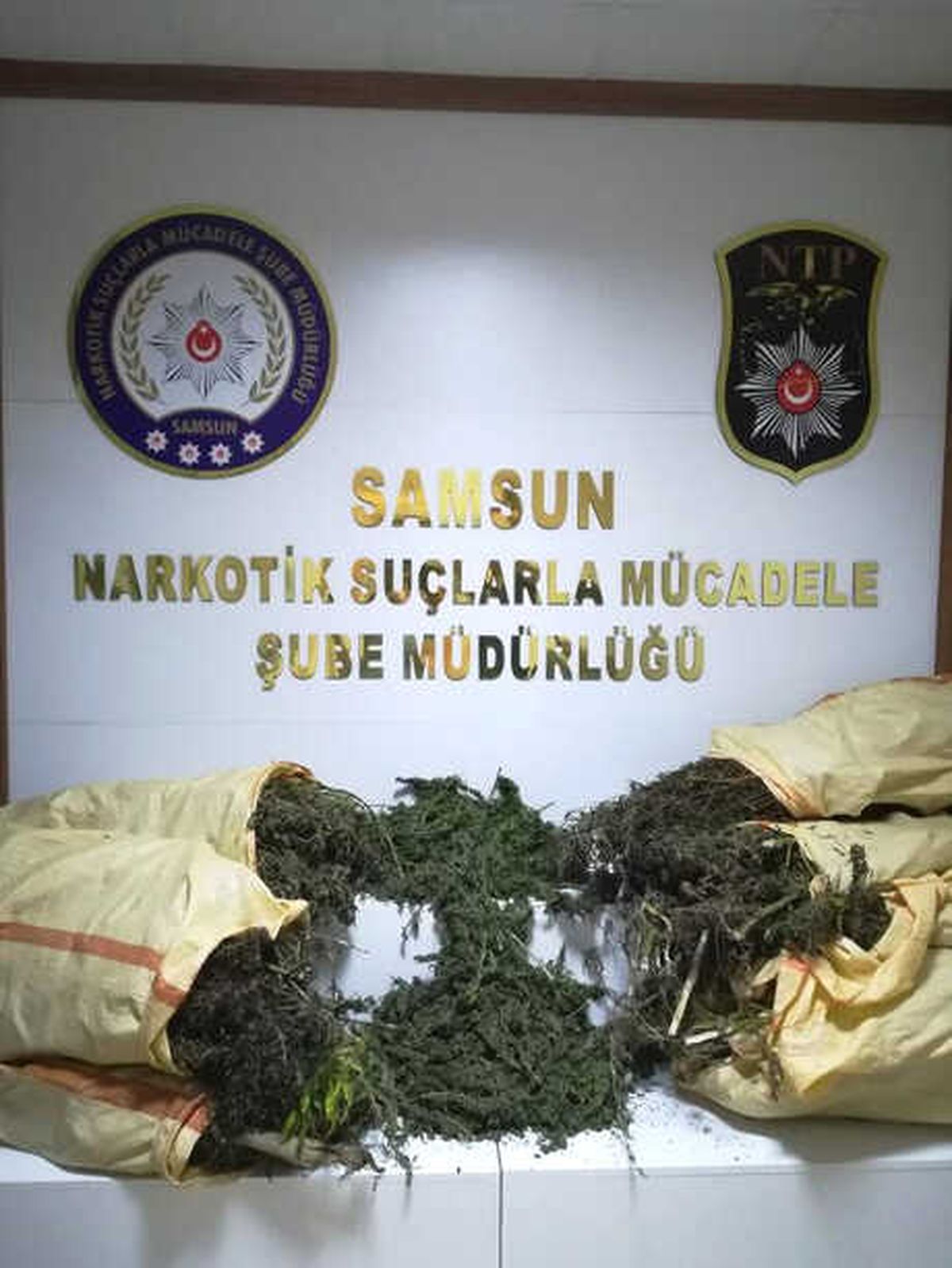 Evinde 37,5 Kilo Esrarla Yakalanan Şüpheli Tutuklandı