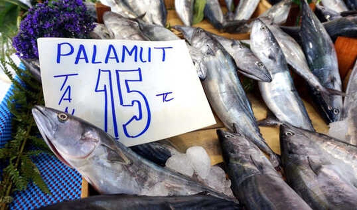 Palamut Bolluğu Fiyatlara Yansıdı