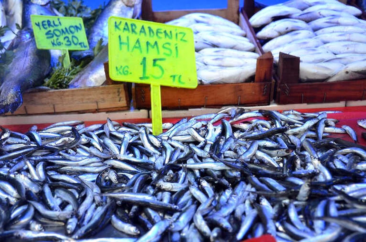 Yasak Bitti, Bilecik\'te Balık Tezgahları Şenlendi