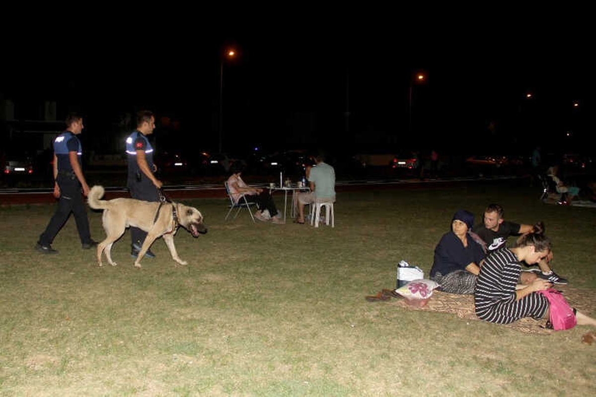Aracın Arkasına Bağlayıp Sürüklenen Köpek \'Turizm Zabıtası\' Oldu