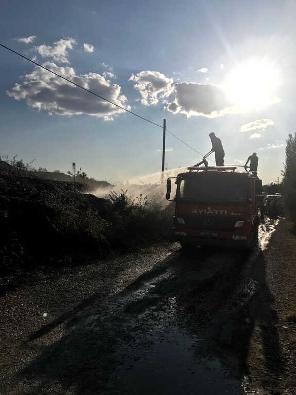 Çocukların Yaktığı Ateş Çam Fidanlarını Kül Etti