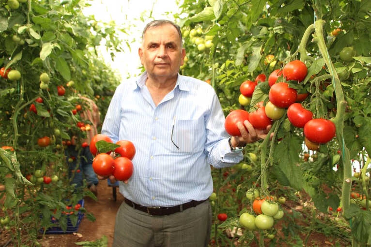 Kumluca Ziraat Odası Başkanı Süleyman Kayhan Açıklaması