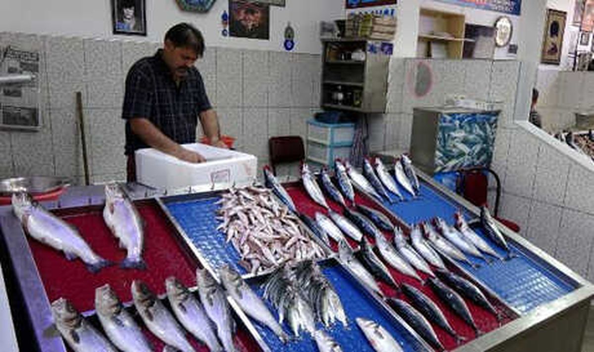 Av Yasağı Bitti; Trabzon\'da Palamut Bolluğu Yaşanıyor