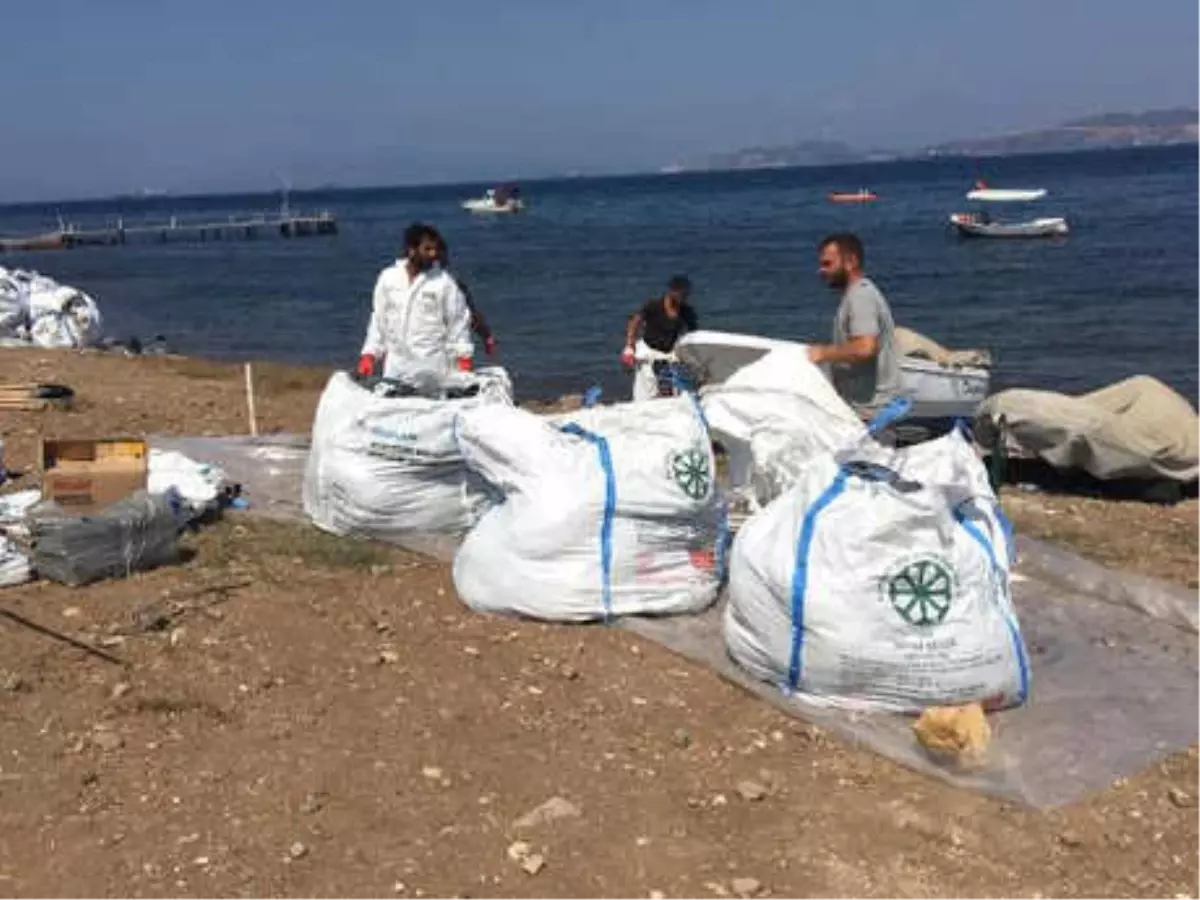 Foça\'da Denize Sızan Petrolü Temizleme Çalışmaları Sürüyor