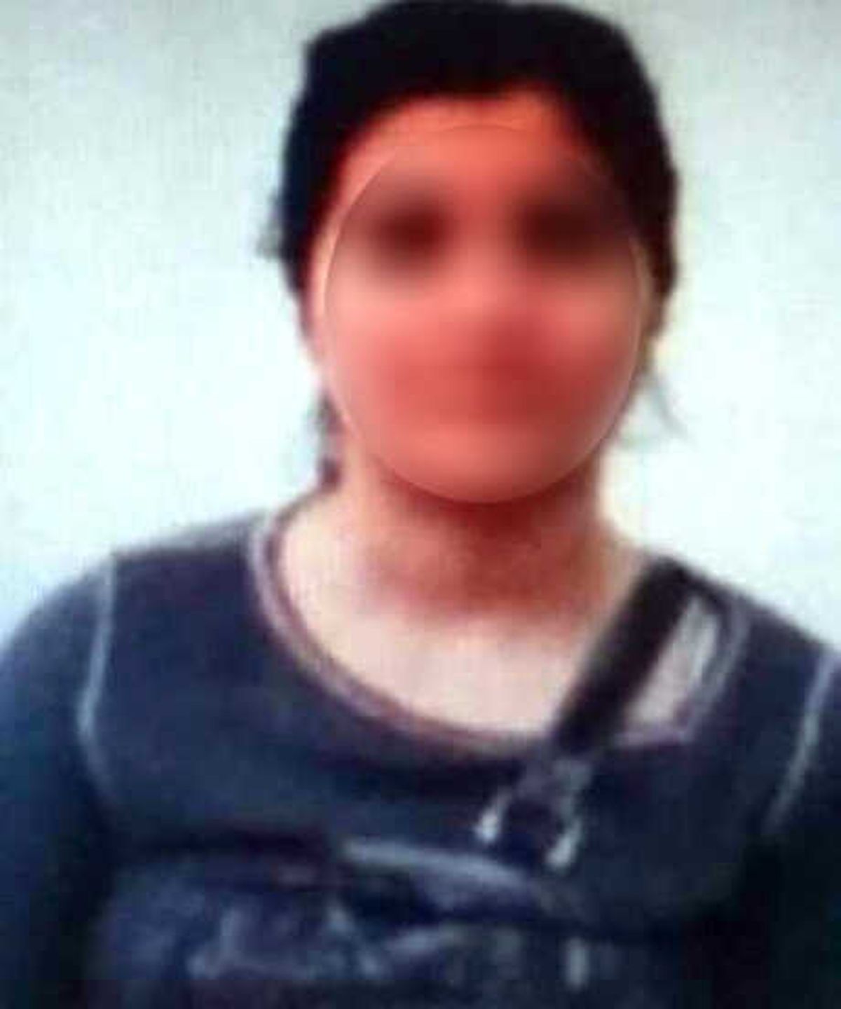 İkna Edilen PKK\'lı Teslim Oldu