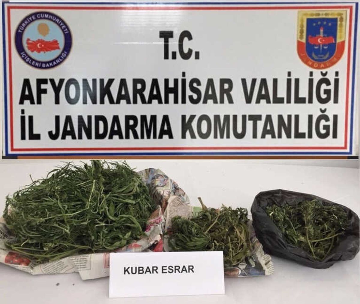 Jandarmadan Uyuşturucu Operasyonu