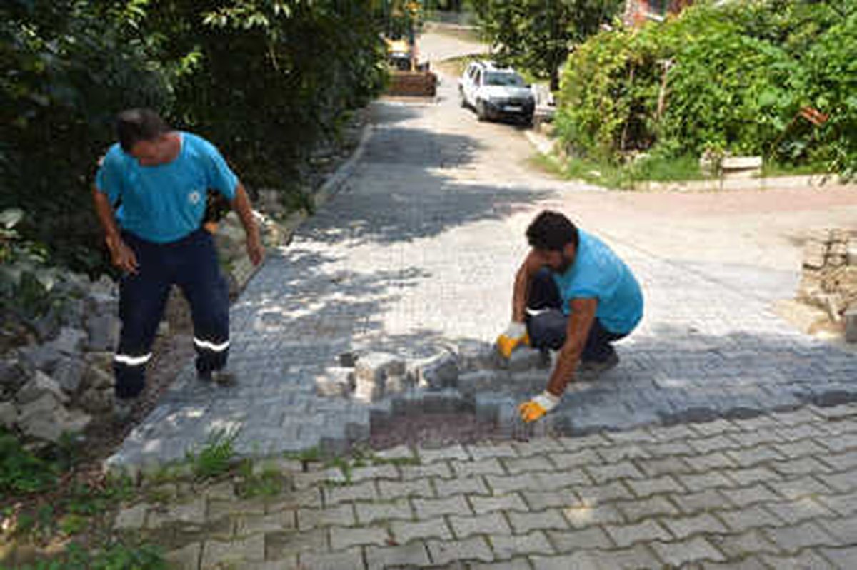Kartepe\'de Parke Tamiratı