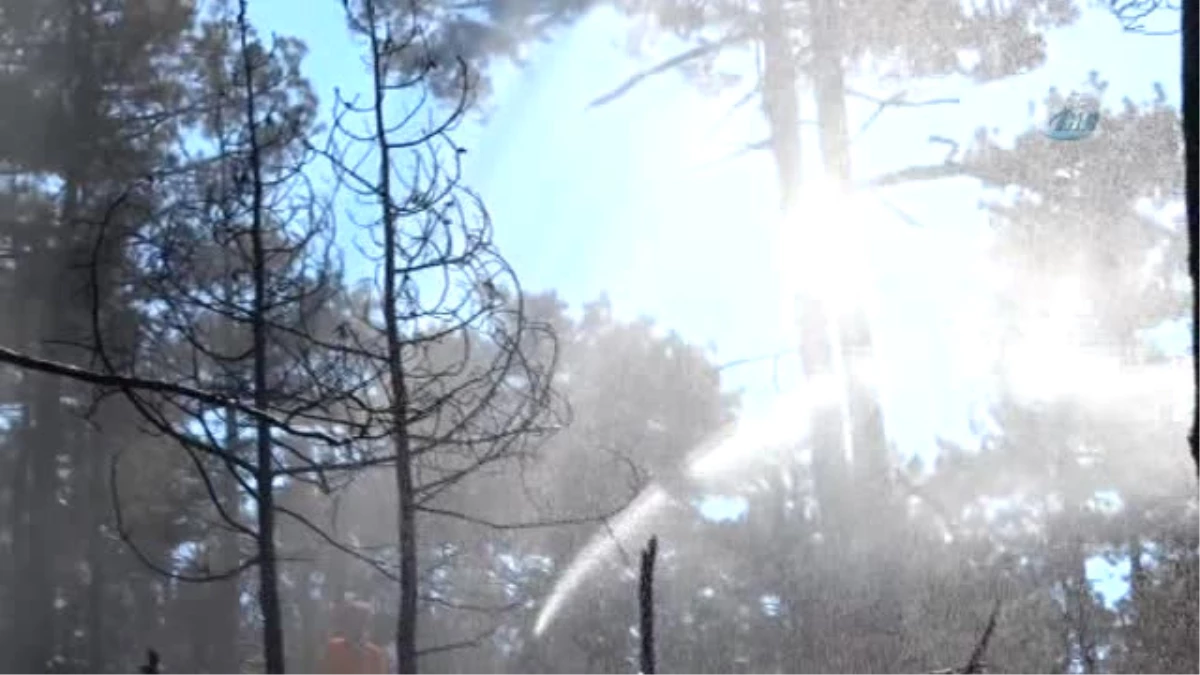 Kütahya\'daki Orman Yangını Kontrol Altına Alındı