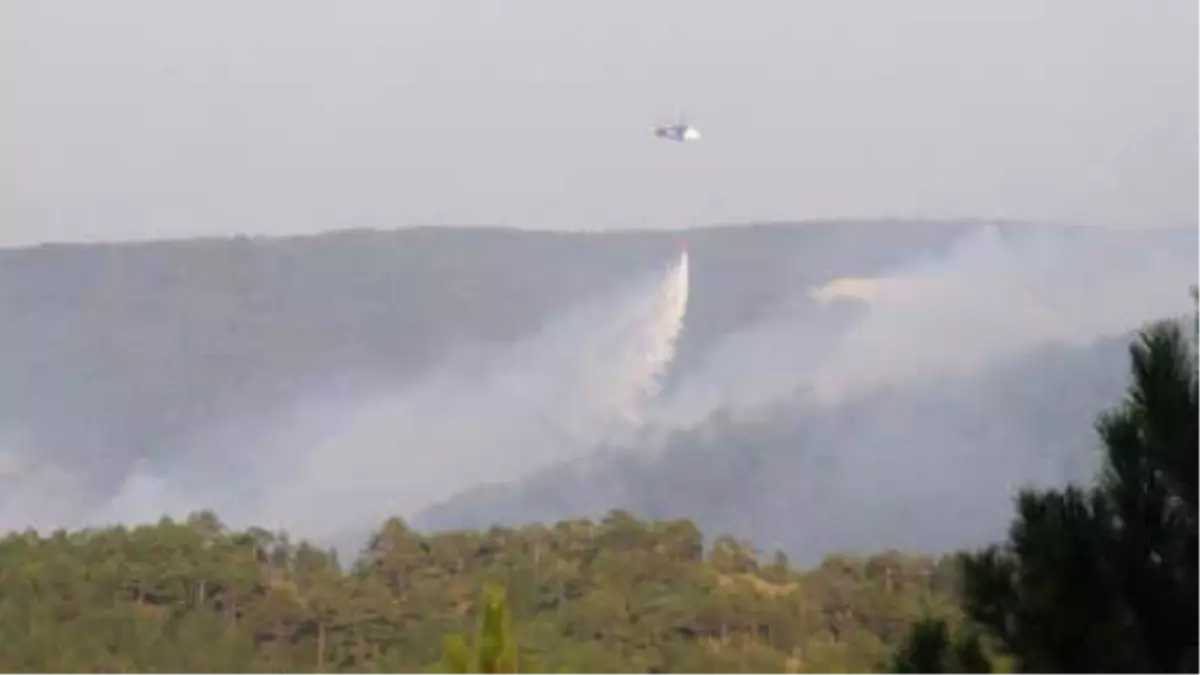 Tavşanlı\'daki Orman Yangını Kontrol Altına Alındı