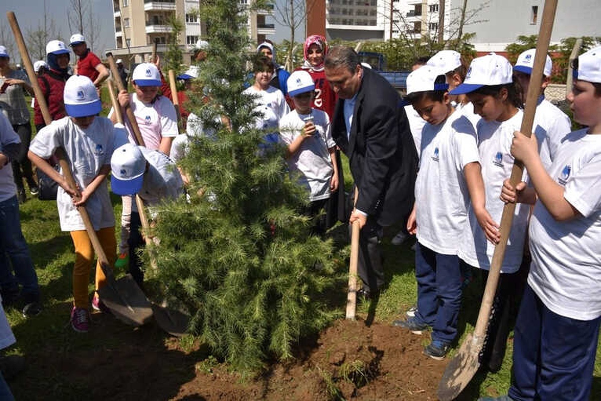 Yunusemre\'de Binlerce Fidan Toprakla Buluşuyor