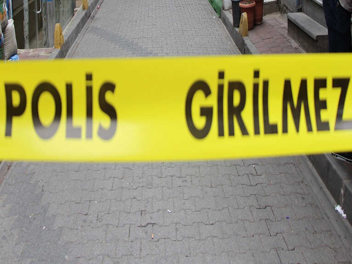 Antalya\'daki Kuduz Vakası Kontrol Altında