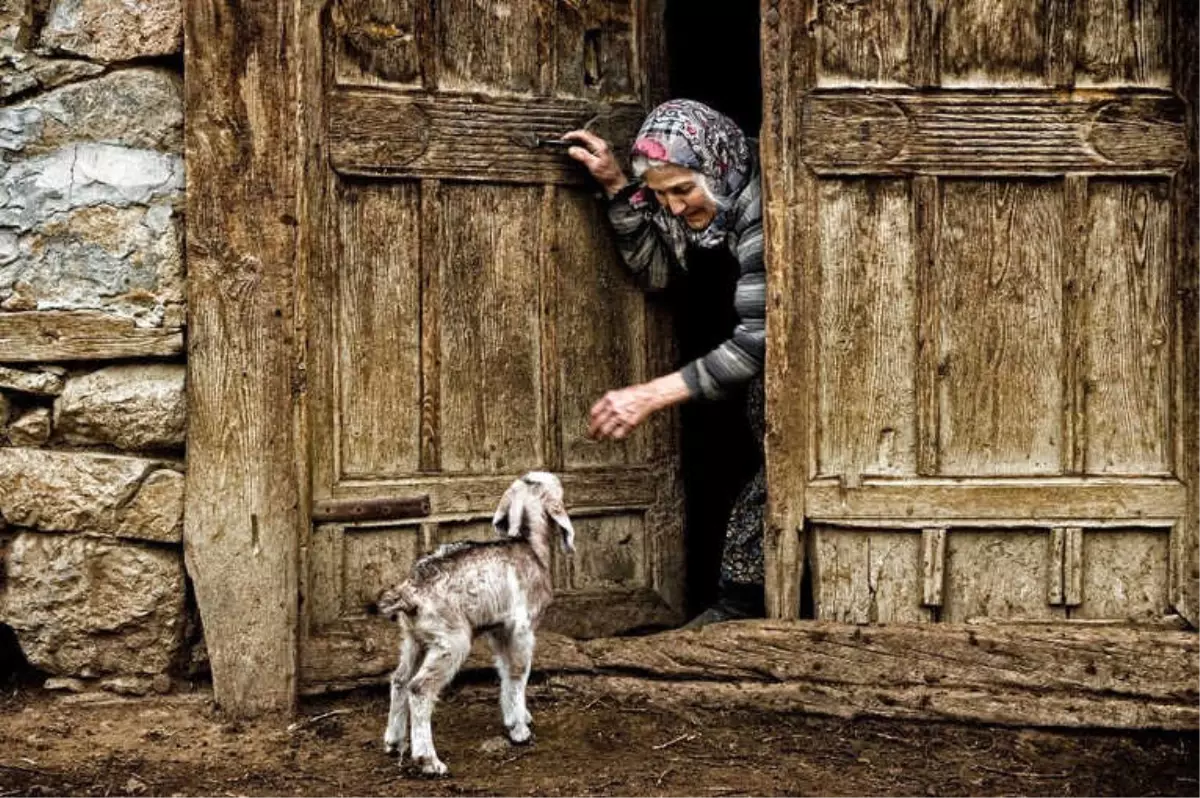 Can Yoldaşım İsimli Fotoğraf Yarışmasının Sonuçları Açıklandı