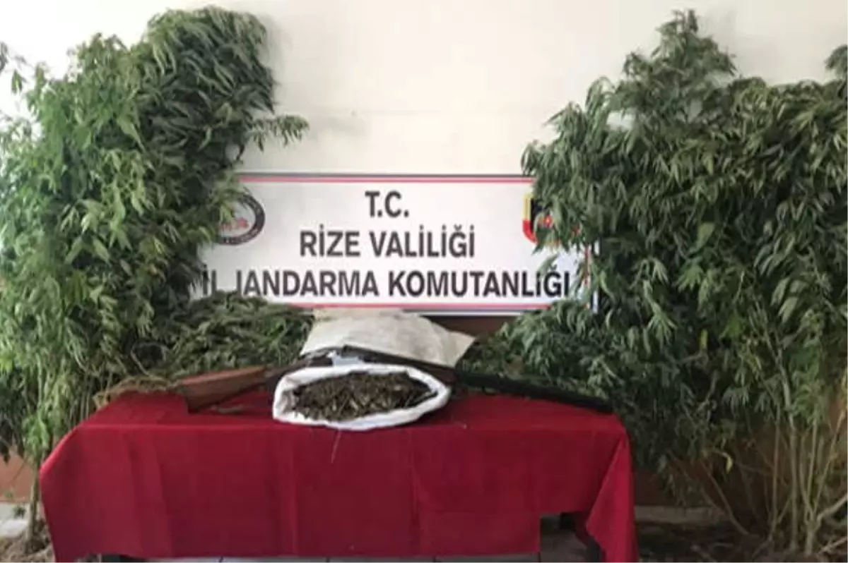 Rize\'de Uyuşturucu ve Silah Operasyonu: 10 Gözaltı