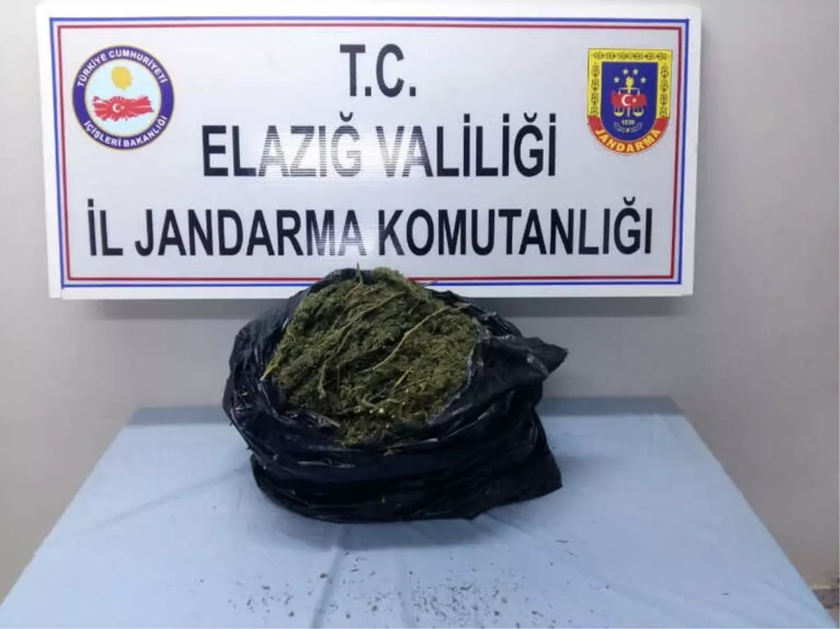 5 Kilo Esrarla Yakalanan 2 Şüpheli Tutuklandı