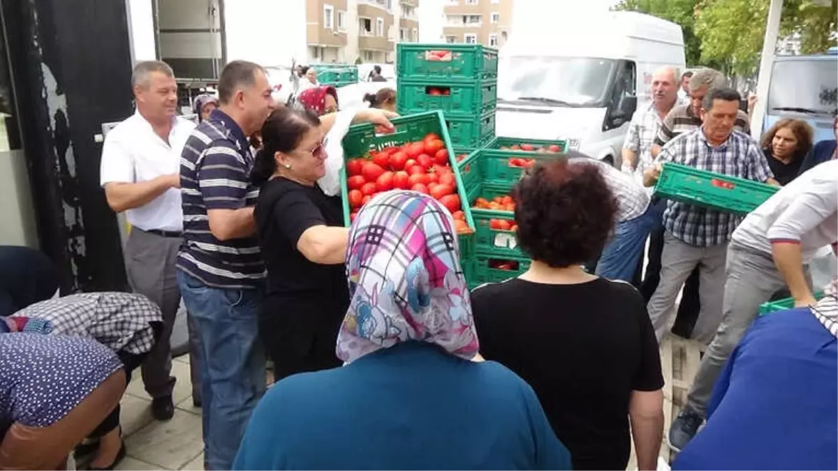 Edirne\'de Salçalık Domates İzdihamı