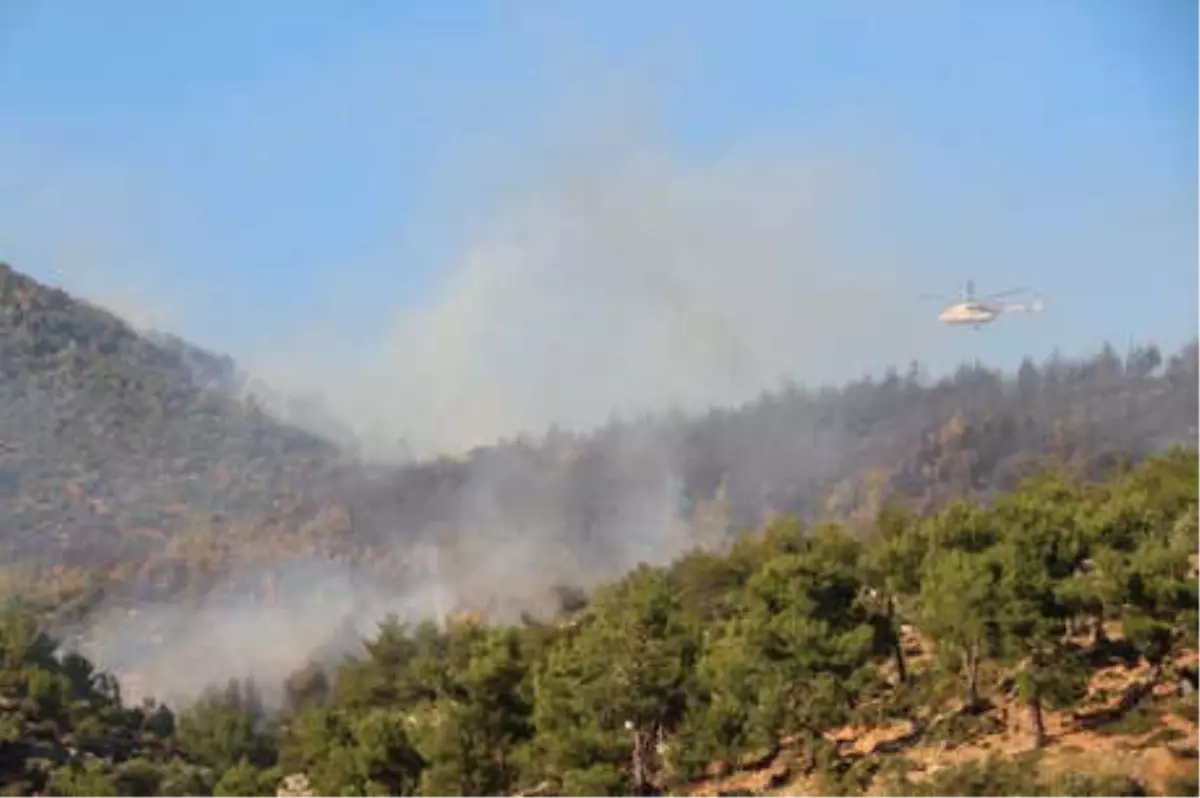 Hatay\'da Orman Yangını