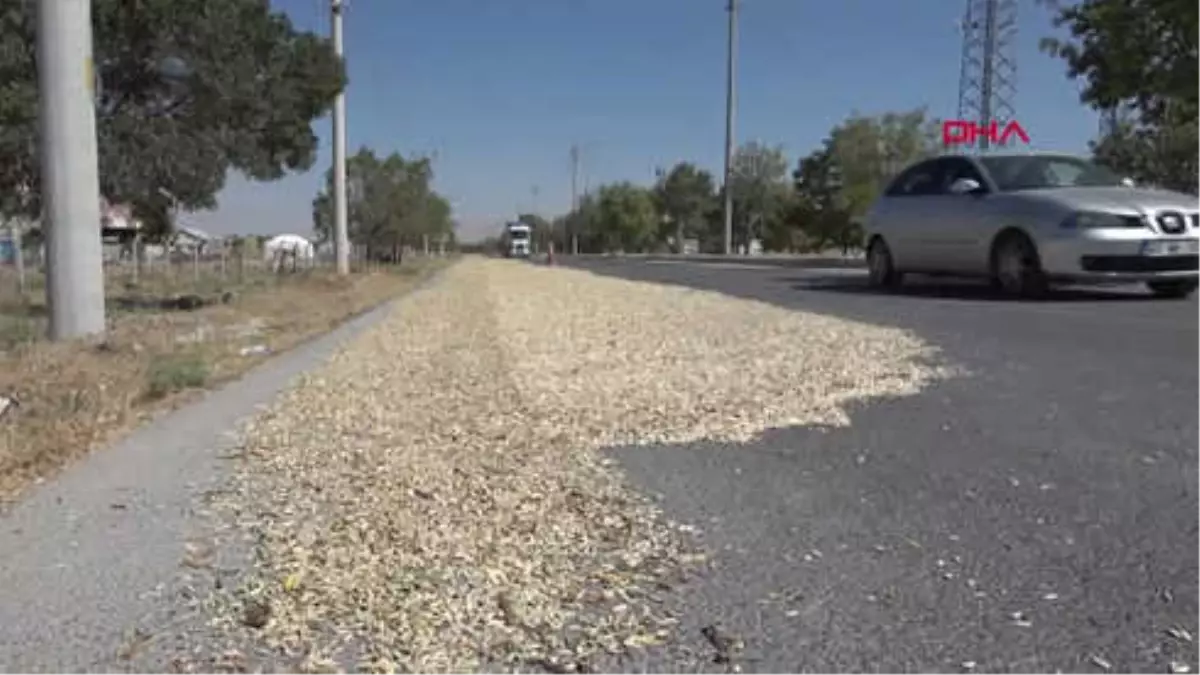 Konya Yolun Bir Şeridini Trafiğe Kapatıp, Kabak Çekirdeği Kurutuyorlar