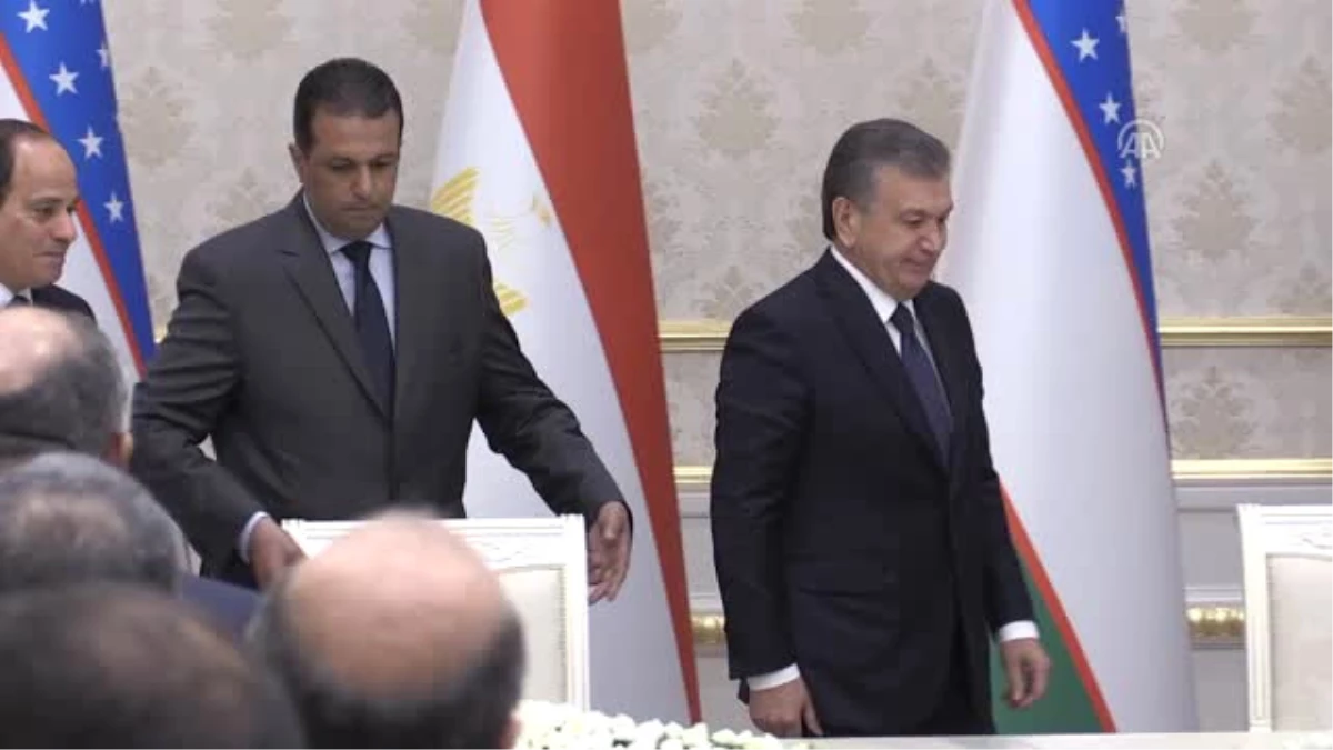 Mirziyoyev-Sisi Görüşmesi