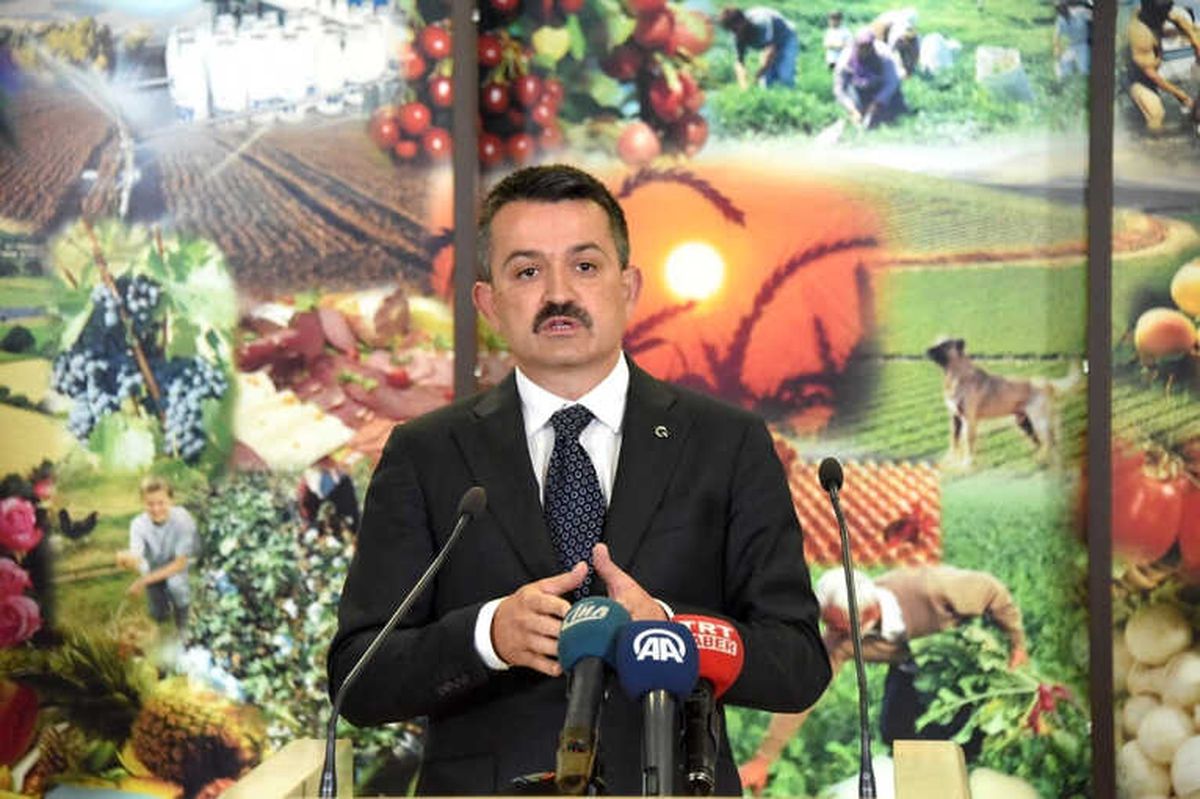 Bakanlıktan Ahırkapı\'da Bekletilen Şarbonlu Gemi Açıklaması