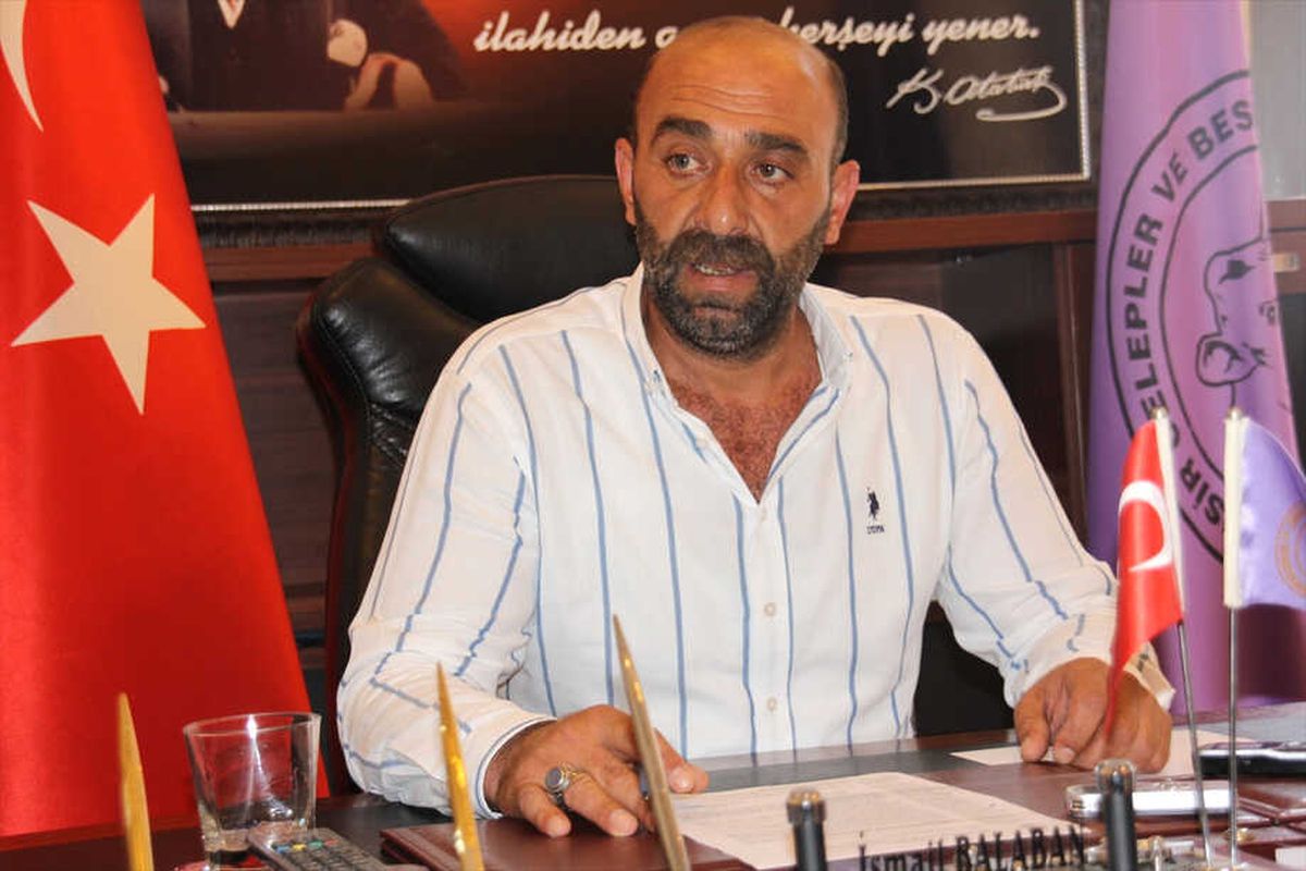 Balıkesir\'de Şarbon Hastalığı Yok"