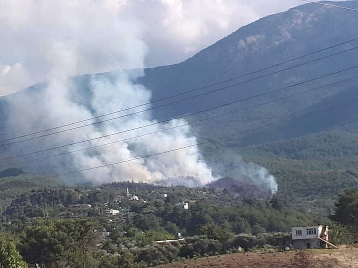 Hatay\'da Orman Yangını