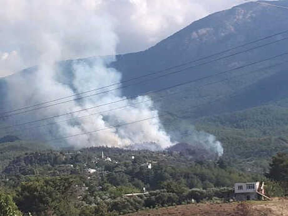 Hatay\'da Orman Yangını