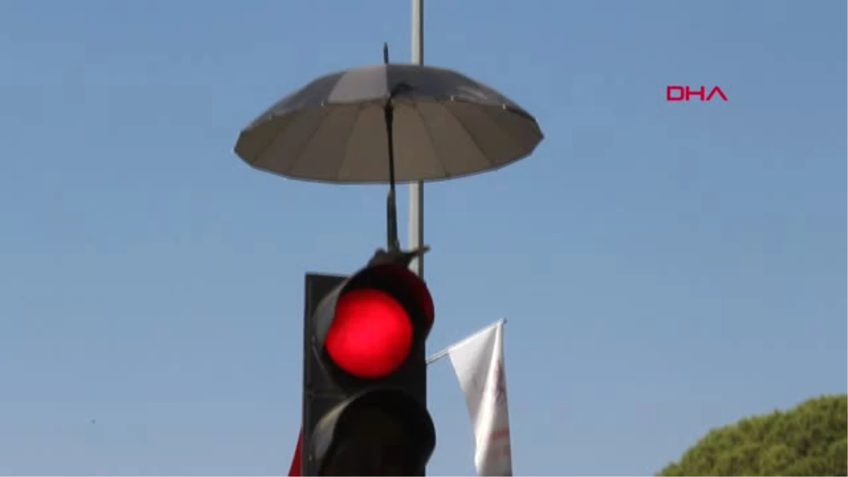 İzmir Trafik Işıkları Üzerine Yuva Yapan Kumruya Şemsiyeli Koruma