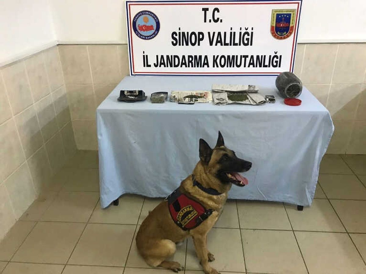 Jandarmadan Uyuşturucu Operasyonu